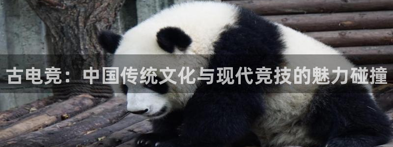 小艾电竞官网入口登录：古电竞：中国传统文化与现代竞技的魅力碰撞