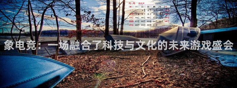 小艾电竞登陆：象电竞：一场融合了科技与文化的未来游戏盛会
