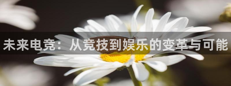 小艾电竞现在叫什么