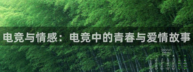 小艾电竞网页版登录：电竞与情感：电竞中的青春与爱情故事