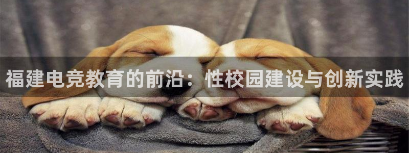 小艾电竞场馆平台：福建电竞教育的前沿：性校园建设与创新实践