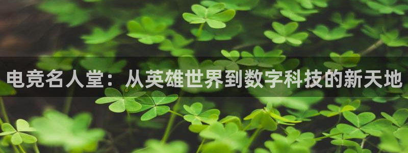 小艾电竞平台官方网：电竞名人堂：从英雄世界到数字科技的新天地