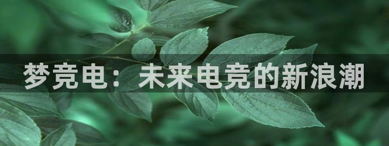 小艾电竞登陆：梦竞电：未来电竞的新浪潮