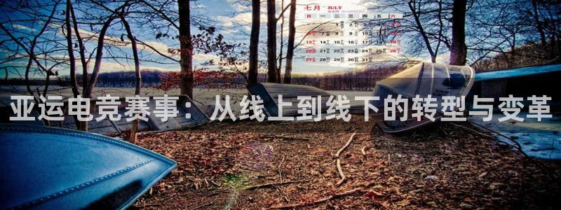小艾电竞官网：亚运电竞赛事：从线上到线下的转型与变革