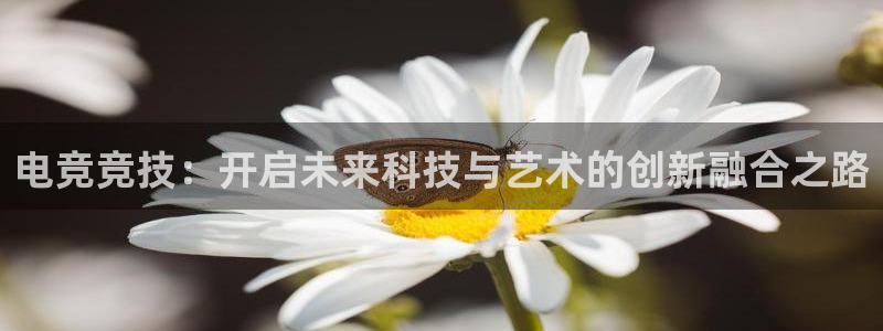 小艾电竞注册：电竞竞技：开启未来科技与艺术的创新融合之路