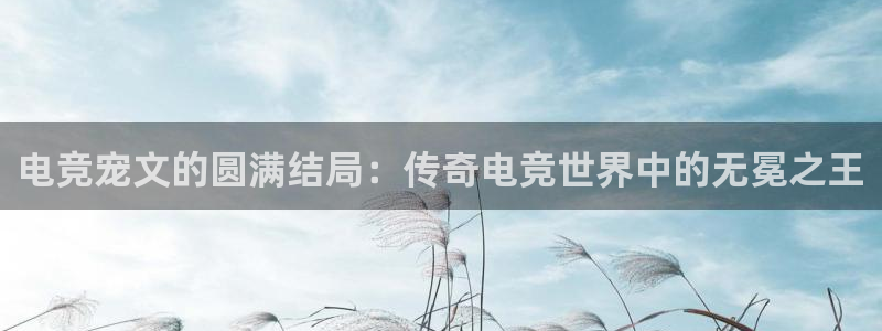 小艾电竞竞猜官网